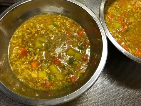 犬も喜ぶワンコカレー 愛犬用ご飯